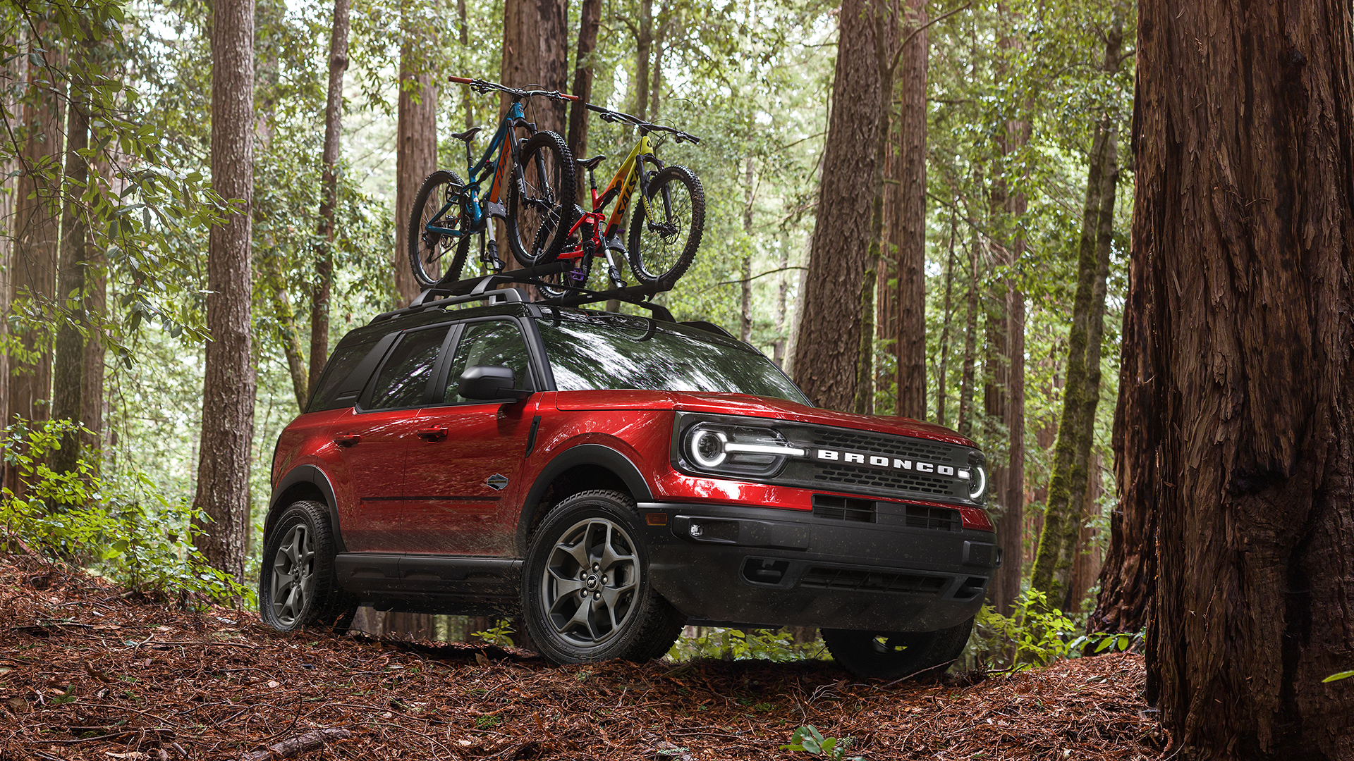 Suspensión todo terreno